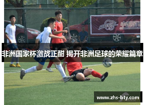 非洲国家杯激战正酣 揭开非洲足球的荣耀篇章 非洲国家杯激战正酣 揭开非洲足球的荣耀篇章