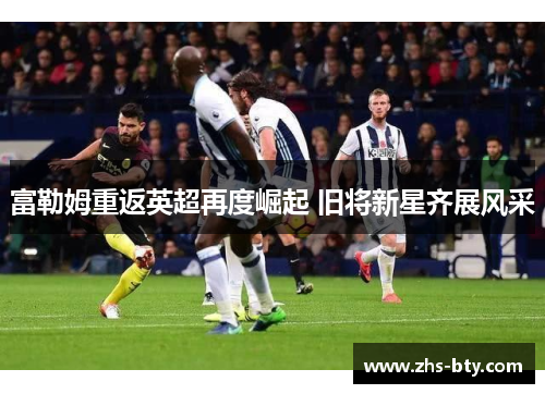 富勒姆重返英超再度崛起 旧将新星齐展风采 富勒姆重返英超再度崛起 旧将新星齐展风采